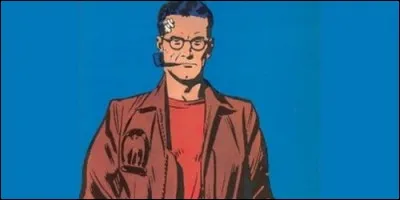 Quel est le métier de Rip Kirby dans la bande dessinée du même nom ?