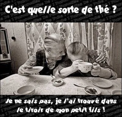 Si on ne boit pas de saké pendant le repas, que boivent les Japonais ?