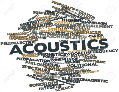 Ce bruit bizarre n'est perçu que par environ une personne sur 20, on l'appelle ...