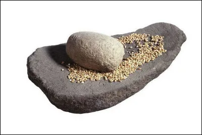 Quel instrument permet d'écraser les graines de céréales ?