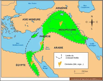 Comment s'appelle la région où coulent le Tigre et l'Euphrate ?