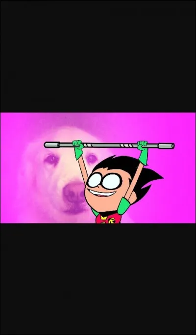 Qui est le chef des Titans Go ?