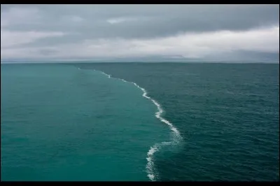 Quelle est la différence entre l'eau douce et l'eau de mer ?