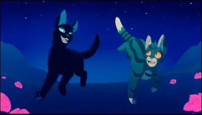 Hélas, son apprenti(e) tombe amoureux/amoureuse d'un chat rival ou du même clan. Par la tradition des guérisseurs, c'est interdit ! Mais de qui s'agit-il ?