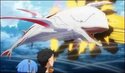 Quel est l'autre nom de la "Baleine blanche" ?