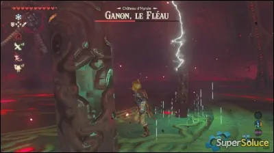 Quel est le cheval de Ganon ?