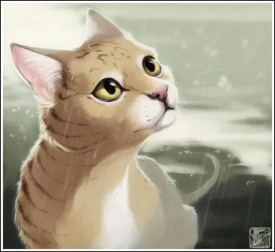 À part Plume de Jais, de qui Feuille de Lune est-elle tombée amoureuse ?