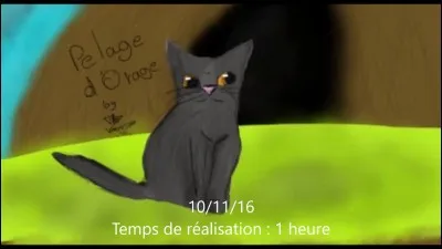 Quel est le nouveau guérisseur du clan?