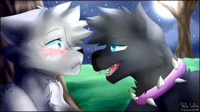 Tornade Blanche a été assassiné par ...