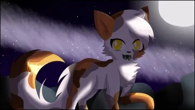 Nuage Agile est mort ...