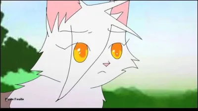 Coeur de Feu était amoureux de la guérisseuse du clan jusqu'à ce qu'elle meurt. Qui était-ce ?