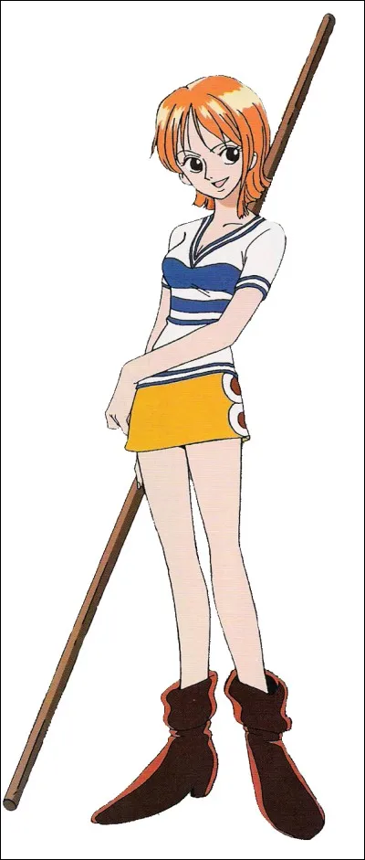 Quel est le rêve de Nami dans le manga "One Piece" ?