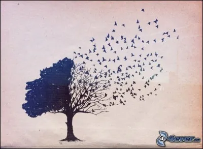 Quel oiseau mythique, de nos jours disparu est un des emblèmes de l'île Maurice?