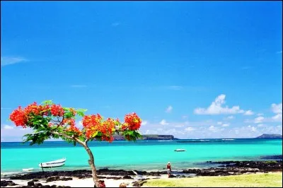 Nommée Cirné par ses découvreurs Portugais, puis Maurice par les Anglais, qui nous la ravirent de force, quel nom français portait-elle?