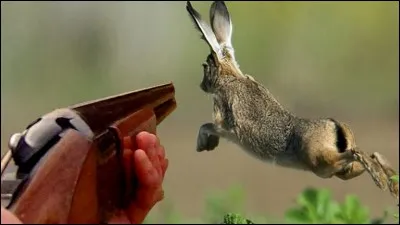 Qui est le dieu de la chasse ?