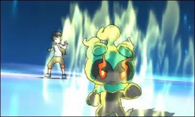 Quelle est sa capacité Z signature ?