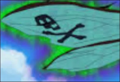 À quoi correspond cette image ?