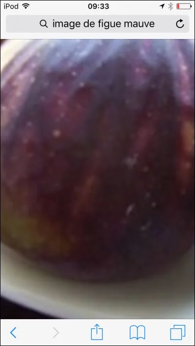 Quel est ce fruit mauve ?
