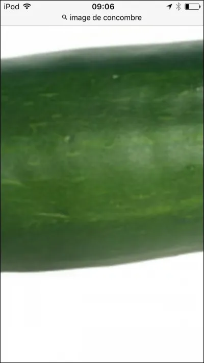 Quel est ce long légume vert ?