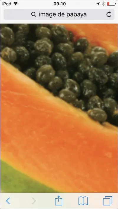 Quel est ce fruit exotique que les papas aiment beaucoup ?