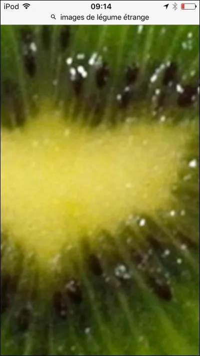 Quel est ce joli fruit vert !