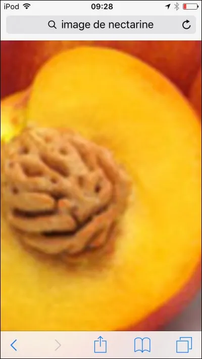 Quel est ce fruit orange ?