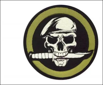 Comment se dit "Mercenaire" en Suédois ?