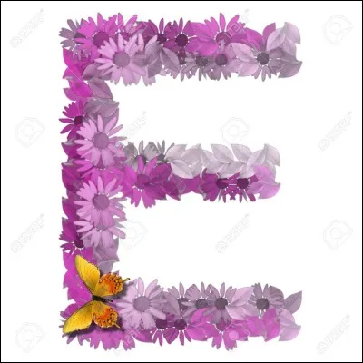 Un mot qui ne contient aucun "e" est un...