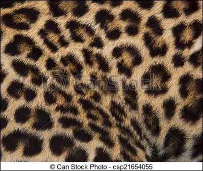 Quel animal porte cette belle fourrure ?