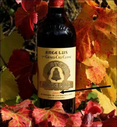 Comment s'appelle l'anne de production d'un vin ?