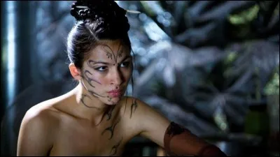 De quel film s'agit-il ?