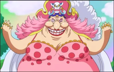 Qui accompagnent Luffy pour sauver Sanji ?