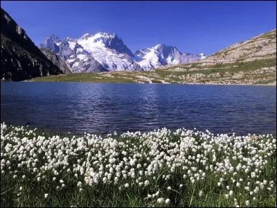 Regarder du coin de l'il.