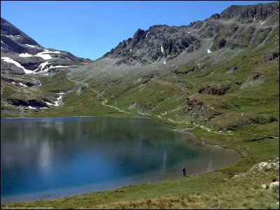 Rencontrée au coin d'un bois.