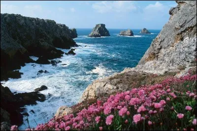 Il reste dans un coin.