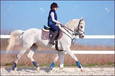 De quel c&ocirc;t&eacute; monte-t-on &agrave; cheval ?
