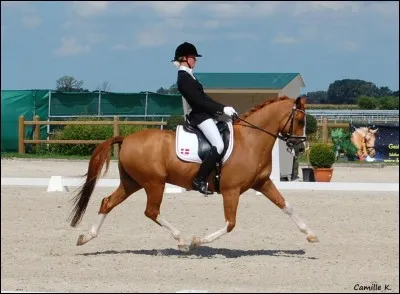 Qu'est-ce qu'une balzane ?