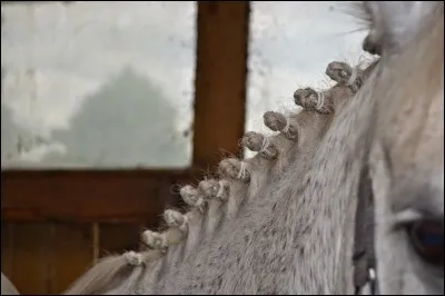 Qu'est-ce que c'est ?