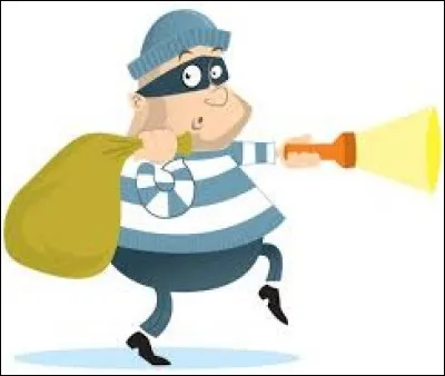 Par quel mot peut-on désigner un voleur ?