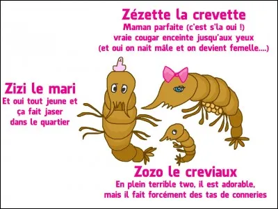 Je me pique de savoir si vous allez trouver ?