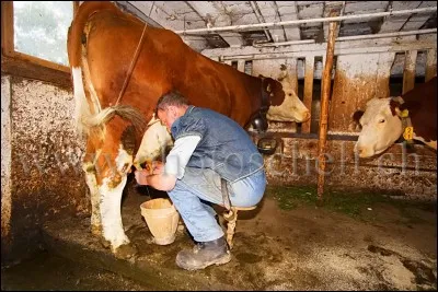 Si vous trouvez, vous m'aurez à la bonne !