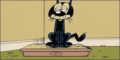 Comment s'appelle le chat de la famille Loud ?