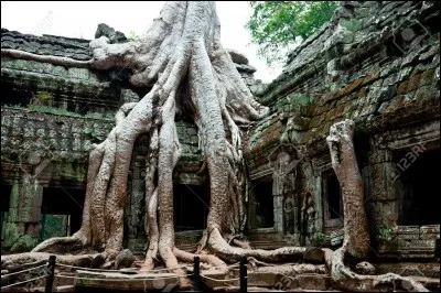Dans mon sein se trouvent les vestiges d'une cité légendaire de l'Empire Khmère !