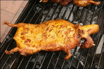 En France, le cobaye est un animal de compagnie, mais chez moi c'est différent !