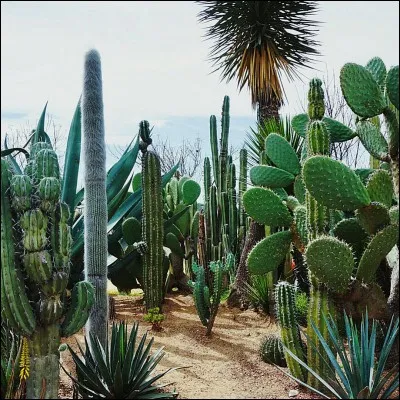 Si vous ne trouvez pas mon nom, j'hallucine, par contre si vous trouvez, je vous tire mon sombrero !