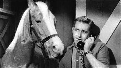 Dans les années 60, les amateurs rappliquaient au galop pour regarder cette série télé qui mettait en scène un cheval doué de la parole !
