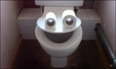 Que désigne-t-on par "lunette de WC" ?