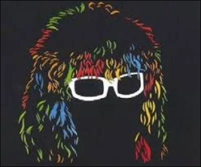 Sur l'image ci-contre, cette chevelure et ces lunettes blanches représentent un célèbre artiste, se trouvant être :