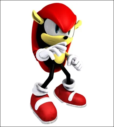 Comment s'appelle ce tatou ?