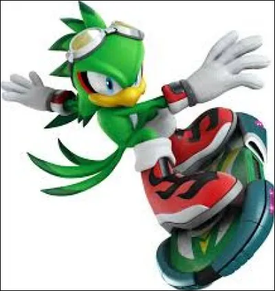 Comment s'appelle ce faucon ?